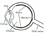 Eye-diagram